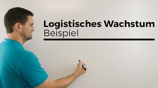 Logistisches Wachstum Nachtrag Beispiel Teil 1  Mathe by Daniel Jung [upl. by Yruok]