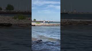 Bronte Beach canadaontario beach travel viral trending telugu shorts youtubeshorts 2024 [upl. by Kwan]