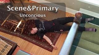 Scene and Primary Assessment Unconscious [upl. by Rebliw]