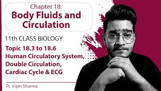 Topic 183 to 186 Human Circulatory System Double Circulation ECG Cardiac Cycle  11th Physio [upl. by Attennot296]