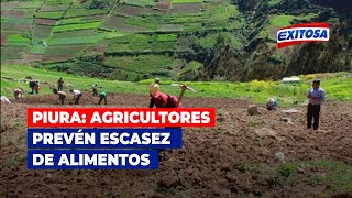 🔴🔵Piura Agricultores prevén escasez de alimentos [upl. by Ayyn]