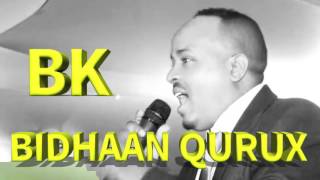 MOHAMED BK BIDHAAN QURUX ERAYADIJAWAAN 2016 HD [upl. by Mikkanen695]