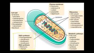 preservation of Pharmaceutical product using antimicrobial agents  microbiology  unit 5 sgsir [upl. by Asilav833]