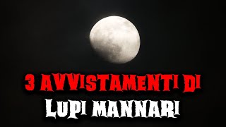 3 testimonianze di avvistamenti di lupi mannari [upl. by Gerstner885]