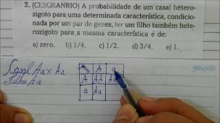 PROBABILIDADE NA PRIMEIRA LEI DE MENDEL GENÉTICA  Angelo Vieira [upl. by Nnyleve]