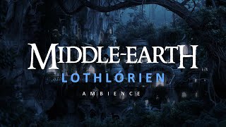 MIDDLE EARTH  Lothlórien  Ambience for Studying Sleeping Relaxing [upl. by Frasier]