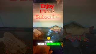 Best baits for bass fishing bassfishing fishing fish bass like subscribe wow super marvel [upl. by Ary299]