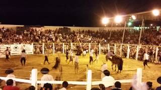 Final Rodeio Internacional de Herval 2015 [upl. by Ikir]