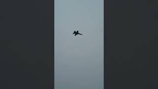 Bagotville international airshow clip  f18 incoming [upl. by Crosby]