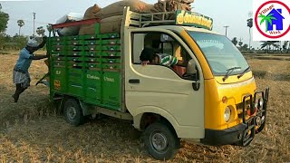 36inch Mini TARA ACE STUCK in mud  TATA ACE PULLING  TATA 275 IDI Diesel BS IV  Village work [upl. by Fabian]