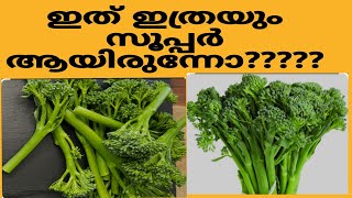 കേരള സ്റ്റൈല്‍ tenderstem broccoli tenderstem broccoli with malayali Twist [upl. by Neffirg907]