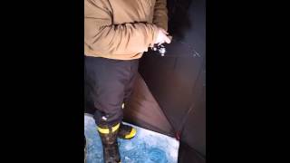 Spray lake ice fishing 6lbs 25quot lakertrout [upl. by Aihsela]