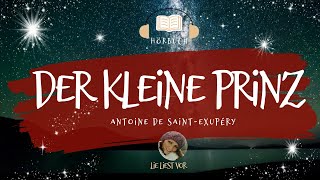 Der kleine Prinz komplettes Hörbuch zum Einschlafen und Träumen Antoine de SaintExupéry [upl. by Kain188]