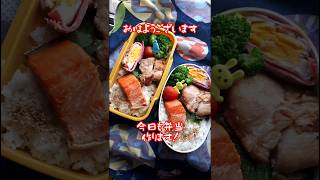 【弁当作り】＃short 照り焼きチキン弁当 [upl. by Neerhtak]