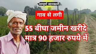 90 हजार रुपये प्रति बीघा मे 55बीघा जमीन बिकाऊ हैं agriculture land for sale [upl. by Vijnas]