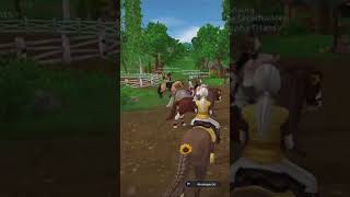 Was ist auf Server 1 los 😂 ssolive ssoletsplay horse sso starstableonline ssowinterstar [upl. by Ietta]