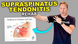 4 Supraspinatus Tendonitis Exercises [upl. by Fredia916]