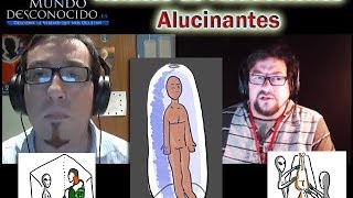 Dos Alucinantes Relatos de Abducciones [upl. by Euqinot]