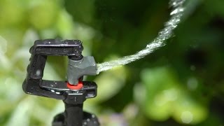 Antelco Rotor Spray™ Mini Sprinklers Micro Irrigation Installation [upl. by Zednanref]