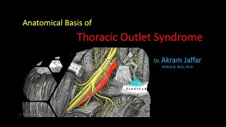 Anatomical Basis of Thoracic Outlet Syndrome [upl. by Wilsey]