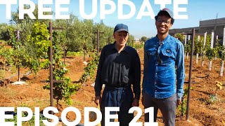 Tree Update Episode 21 [upl. by Norraa]