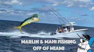 4K Fishing for Marlin amp Mahi in Miami [upl. by Ireland]