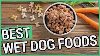 Raw Food Diet For Dogs  Balancing Explained For Beginners [upl. by Marleah]