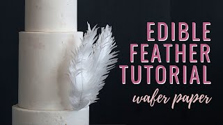 How to make Wafer Paper Feathers  Florea Cakes [upl. by Clymer]