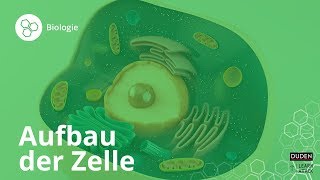 Aufbau der Zelle Bio leicht gemacht – Biologie  Duden Learnattack [upl. by Kristoffer]