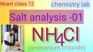 Ncert class 12chemistry practicalsalt analysis 01NH4ClAmmonium chloride [upl. by Bachman]