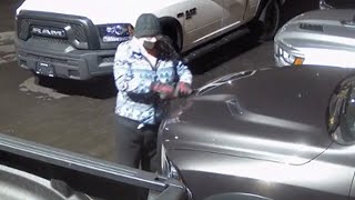 400 vehicles keyed at car dealerships across Vancouver [upl. by Bogoch322]