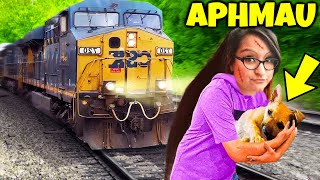 8 YouTubers Who SAVED ANIMALS LIVES Aphmau Preston ItsFunneh [upl. by Orapma82]