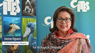 Message for International Day for Biodiversity 2024 from CITES SecretaryGeneral Ivonne Higuero [upl. by Mulac]