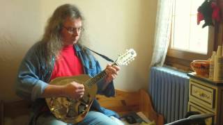 Sailors Hornpipe resonator mandolin [upl. by Fishman]