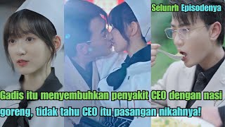 Gadis itu menyembuhkan penyakit CEO dengan nasi goreng tetapi dia tidak tahu bahwa CEO adalah [upl. by Kamat]