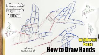 How to Draw Hands in Different Poses a Complete Beginners Tutorial [upl. by Renba369]