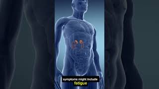 Hyperkalemia Explained in 60 Seconds  Nursing Essentials biology nclexreview [upl. by Emmuela]