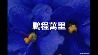 青青校樹 Graduation Song [upl. by Caassi]