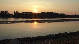 Sonnenaufgang Niedrigwasser in MainzLaubenheim Ufer  Landschaft im Sommer [upl. by Eiramadnil]