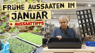 Was kannst du im Januar aussäen  Tipps zur frühen JungpflanzenVoranzucht im Haus [upl. by Seem]