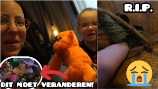 MELANIE BEGINT ZICH HIERAAN TE IRRITEREN 🙄 IS HIJ OVERLEDEN  DE FAMILIE SNIJDERS  VLOG 482 [upl. by Ecirtaed]