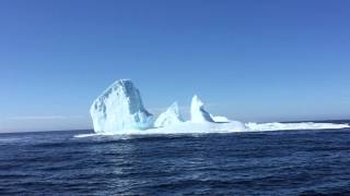 Iceberg Man and tourists view Iceberg foundering off Twillingate Newfoundland amp Labrador [upl. by Loree103]