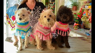 🌈ROPITA para MASCOTAS Tejida a Crochet  Ropa para PERROS y GATOS a Crochet  Ganchill [upl. by Nylevol]