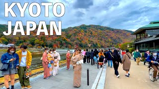 【4K】Kyoto Arashiyama walk tour in Autumn 2022 [upl. by Doralia159]