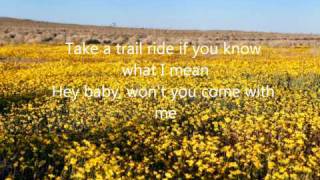 Pickin WildflowersKeith AndersonLYRICS [upl. by Jd]