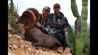 BOWHUNTING GIANT DESERT SHEEP  L2H S09E07 quotFull Curls amp Cactusquot [upl. by Nyladnewg966]