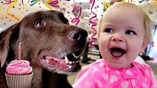 👶🏻1st BIRTHDAY DOG SURPRISE🎂 [upl. by Metzgar]