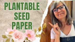 Make Ecofriendly Seed Paper At Home And Grow Your Garden [upl. by Lyrrad]