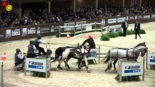 Koos DE RONDE  PREMIERE PLACE  Bordeaux  La finale 2013  Winning Round [upl. by Evreh]