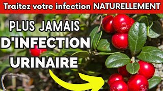 Traitez Votre Infections Urinaires naturellement avec Ces Plantes Médicinales [upl. by Solohcin551]